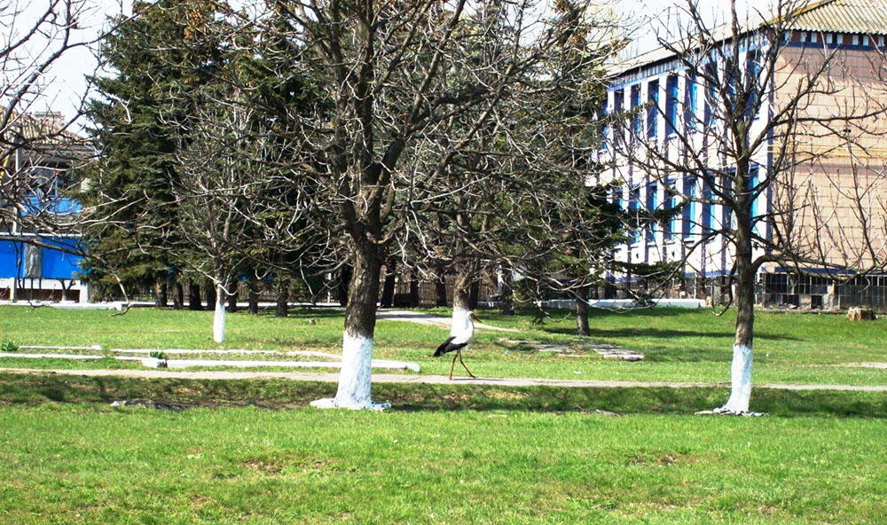 Некременне